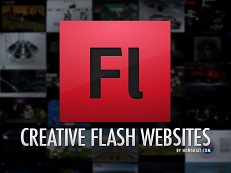 Website in Flash